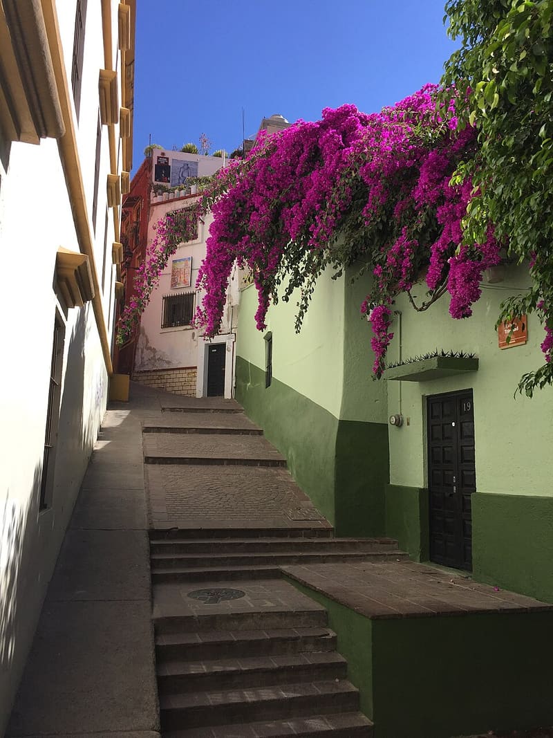 Callejones empedrados del centro histórico de Guanajuato